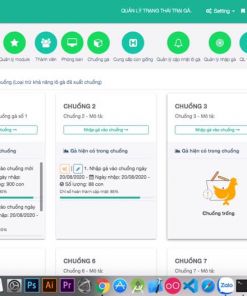 Hệ thống quản lý sản xuất, quản lý trại gà